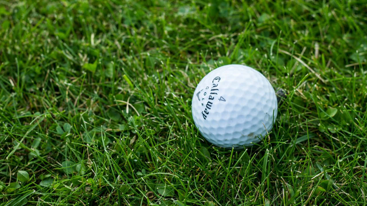 Grassy Course 720p Golf Background