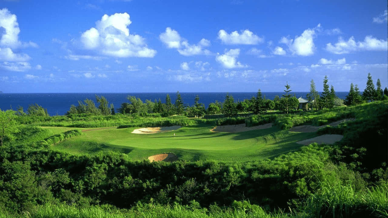 The Bay Course 720p Golf Course Background