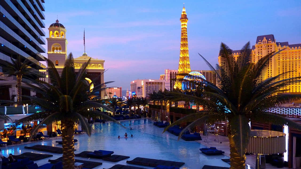 Enjoy the vibrance and spectacular nightlife of Las Vegas