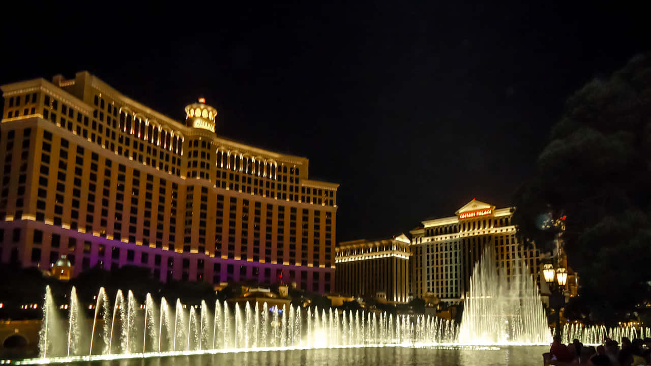 Upplevde Flammiga Neonljusen I Las Vegas I Hela Sin 720p-härlighet