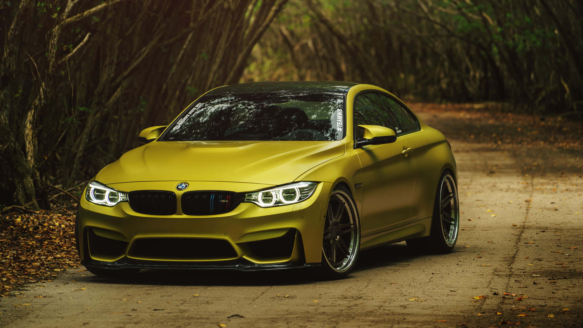 720p M Series Background Yellow BMW M4 In The Woods