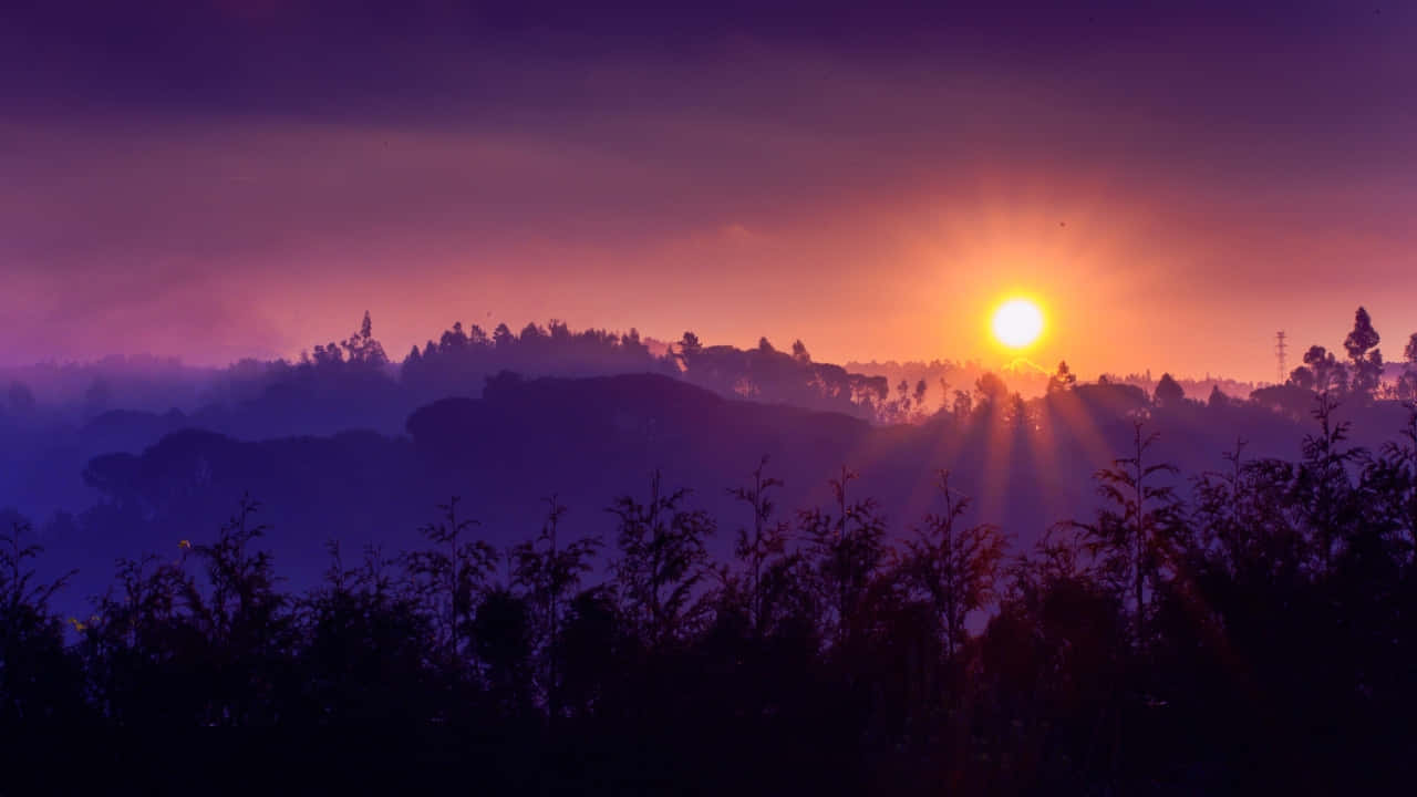 720pnatur Hintergrund Mit Goldenem Sonnenaufgang