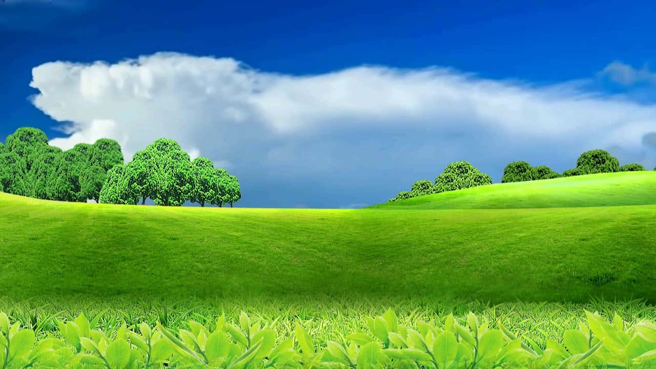 Fondode Pantalla De Naturaleza Con Cielo Y Nubes En 720p