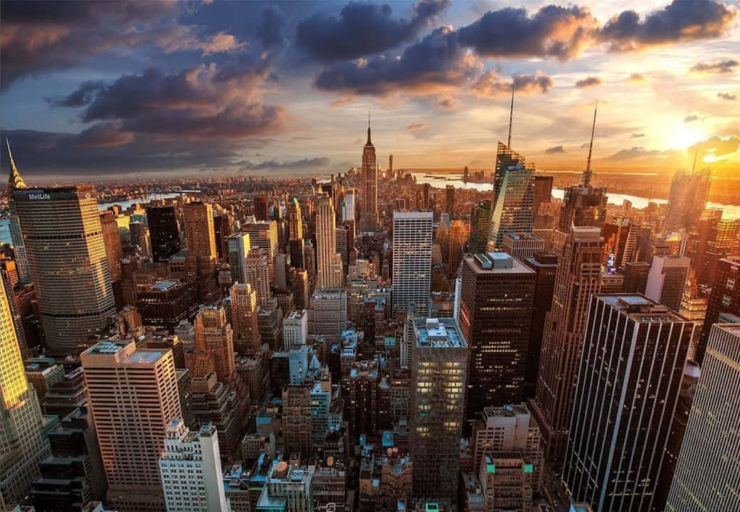 Discover the hustle and bustle of NYC