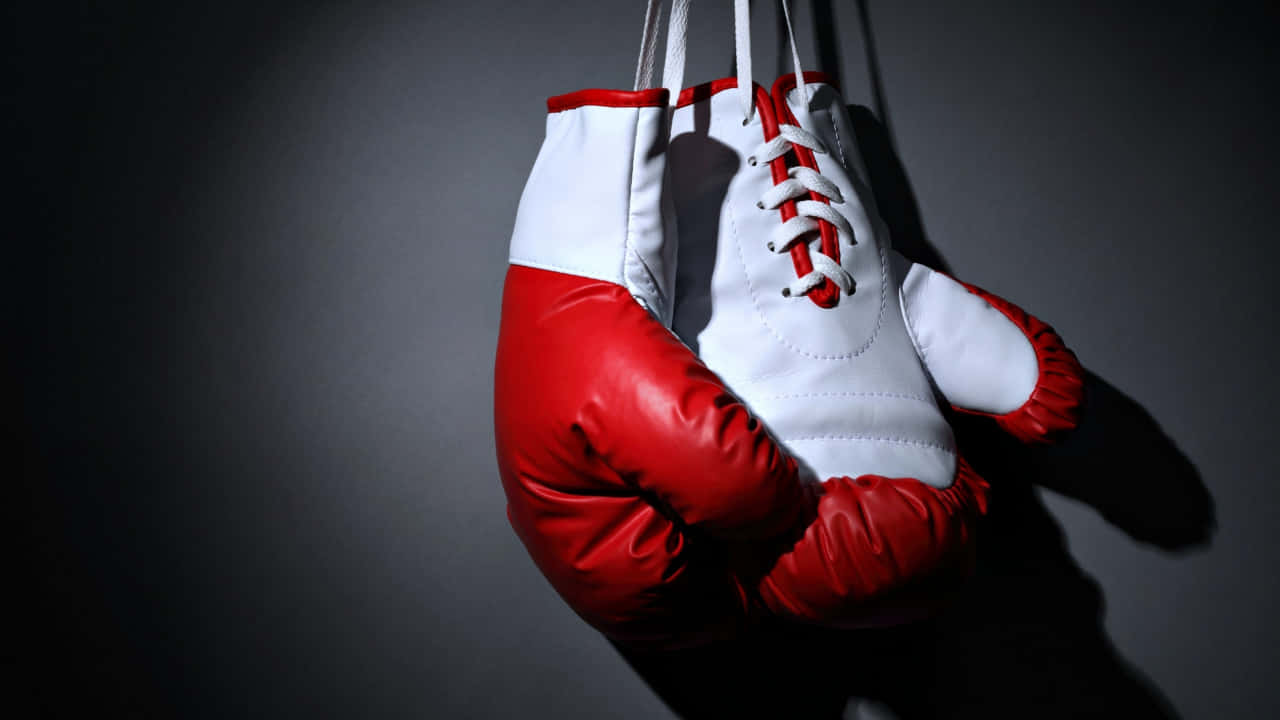 Røde og hvide boksninghandsker 720p sportsbaggrund