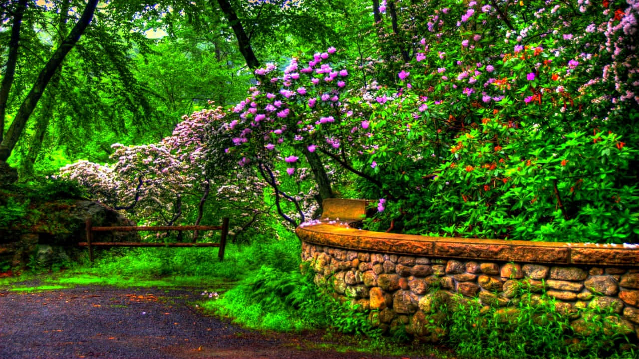 a stone wall with flowers