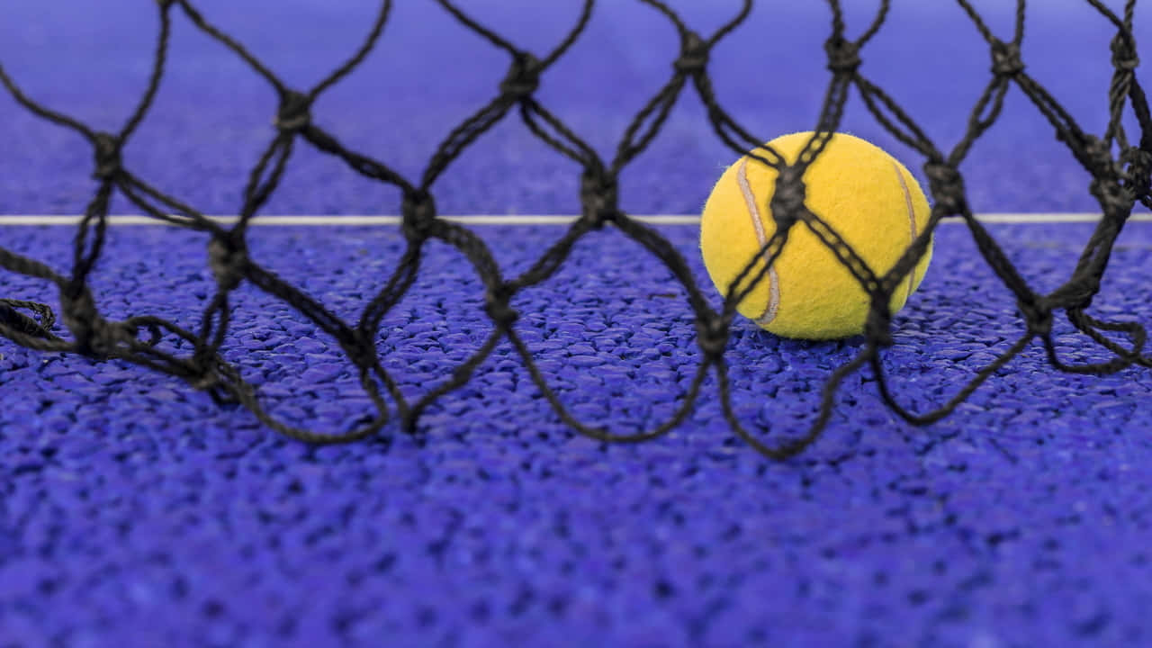 A Tennis Ball Is Sitting In A Net