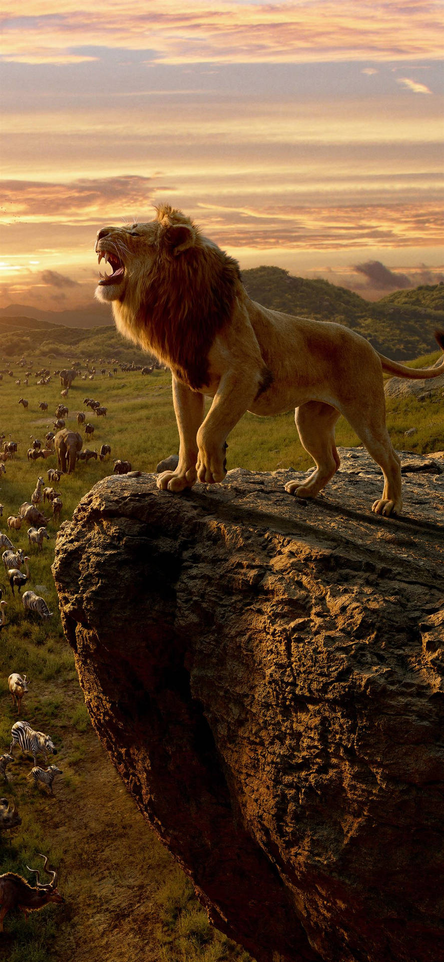8K iPhone Lion King Real Wallpaper