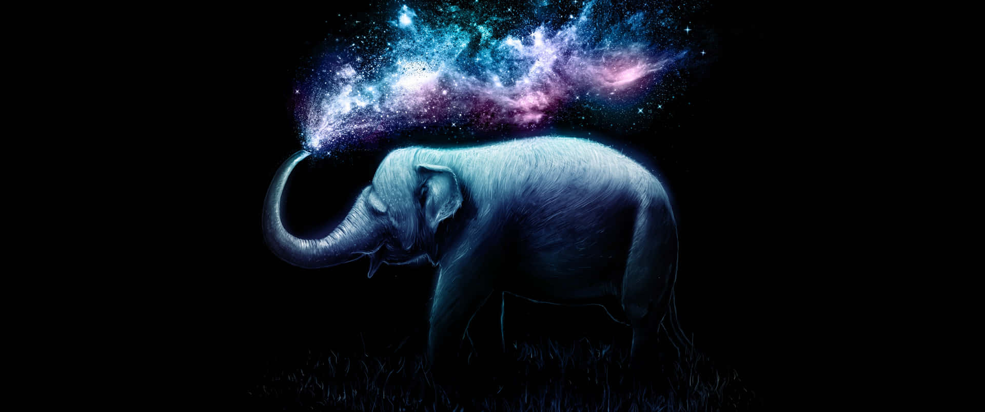 En elefant med et stjernefyldt himmelbaggrund Wallpaper