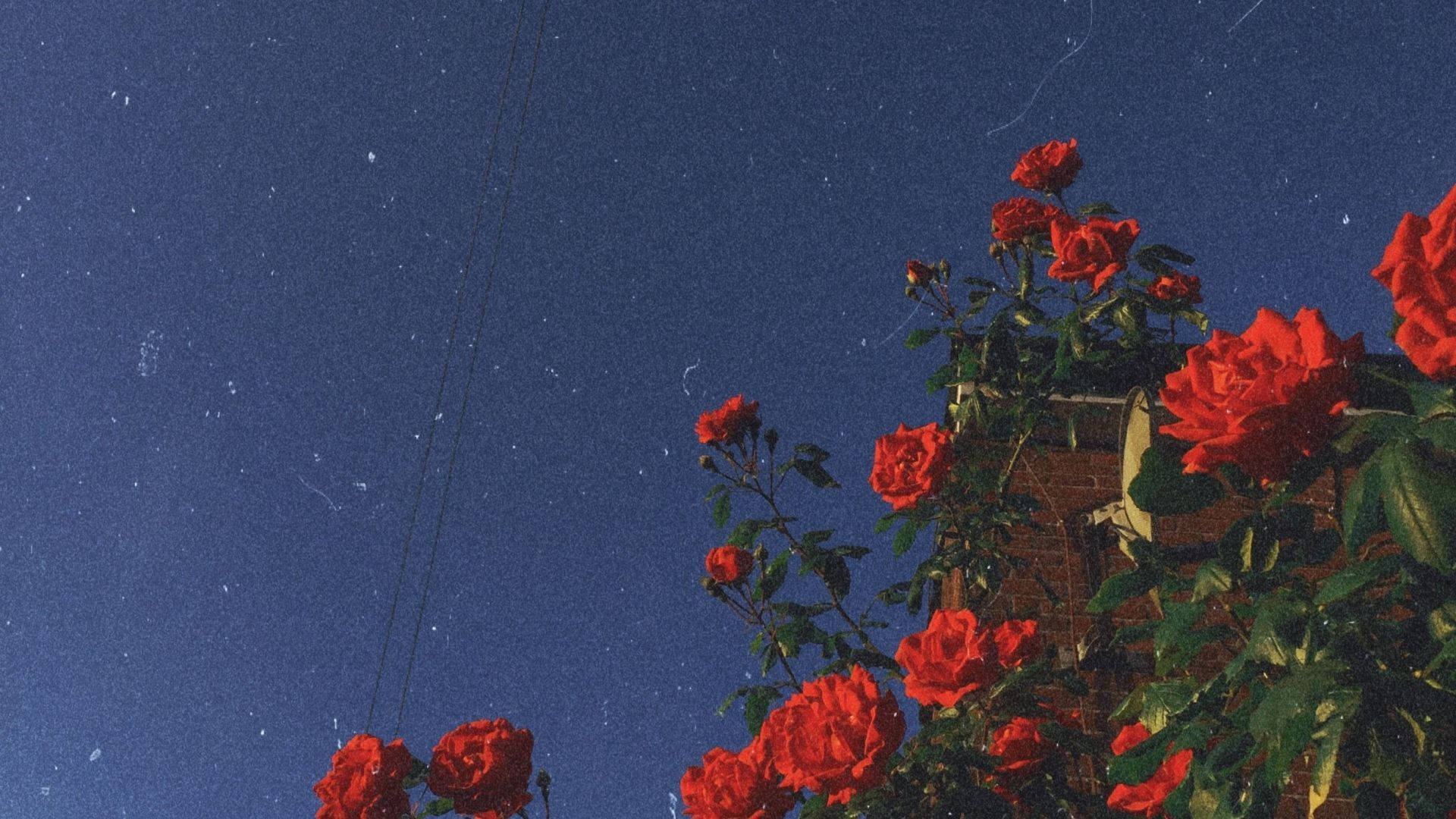 90'er blomster æstetisk roser tapet Wallpaper