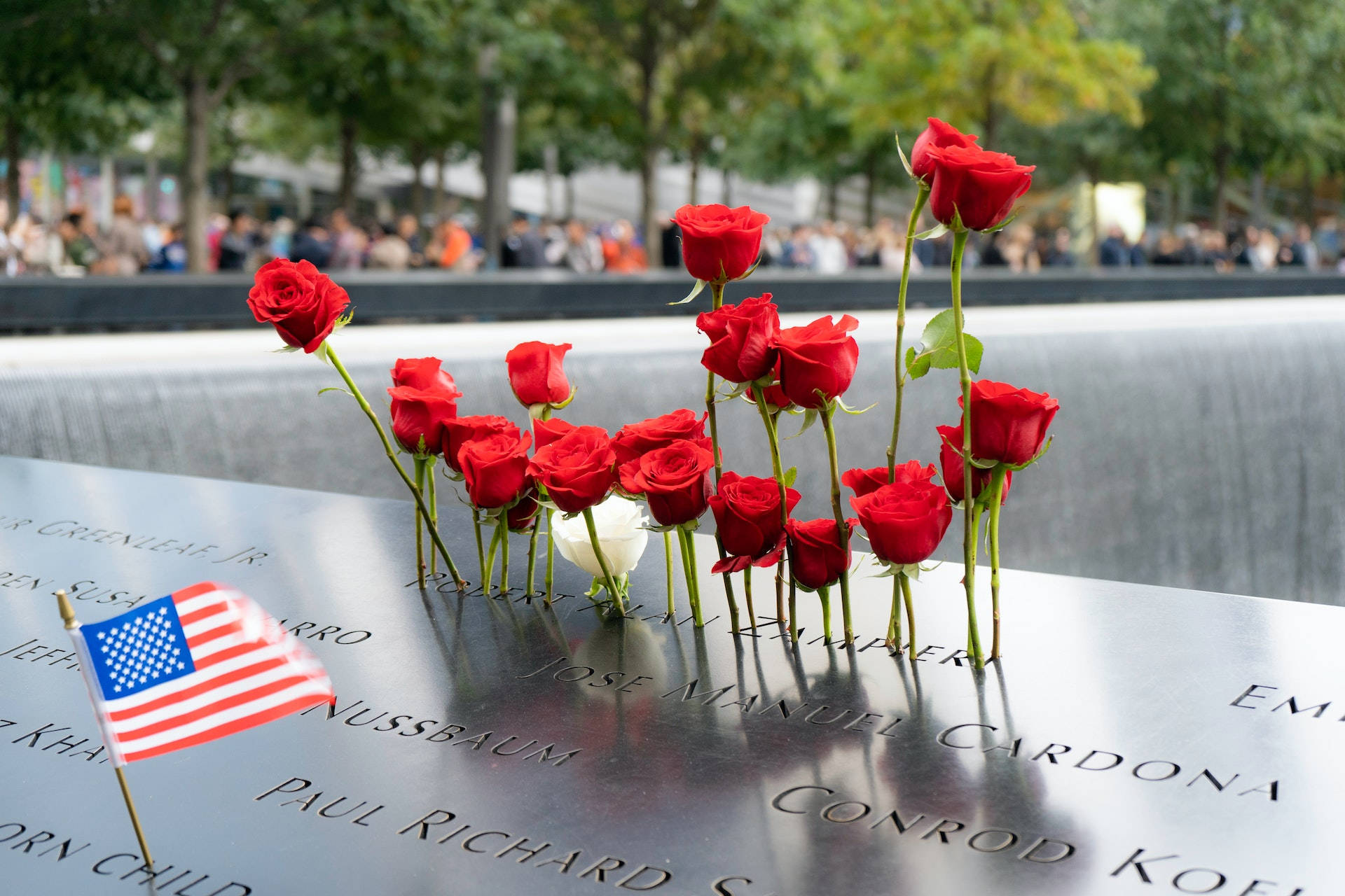 Et 911 Memorial dat står rose tapet. Wallpaper