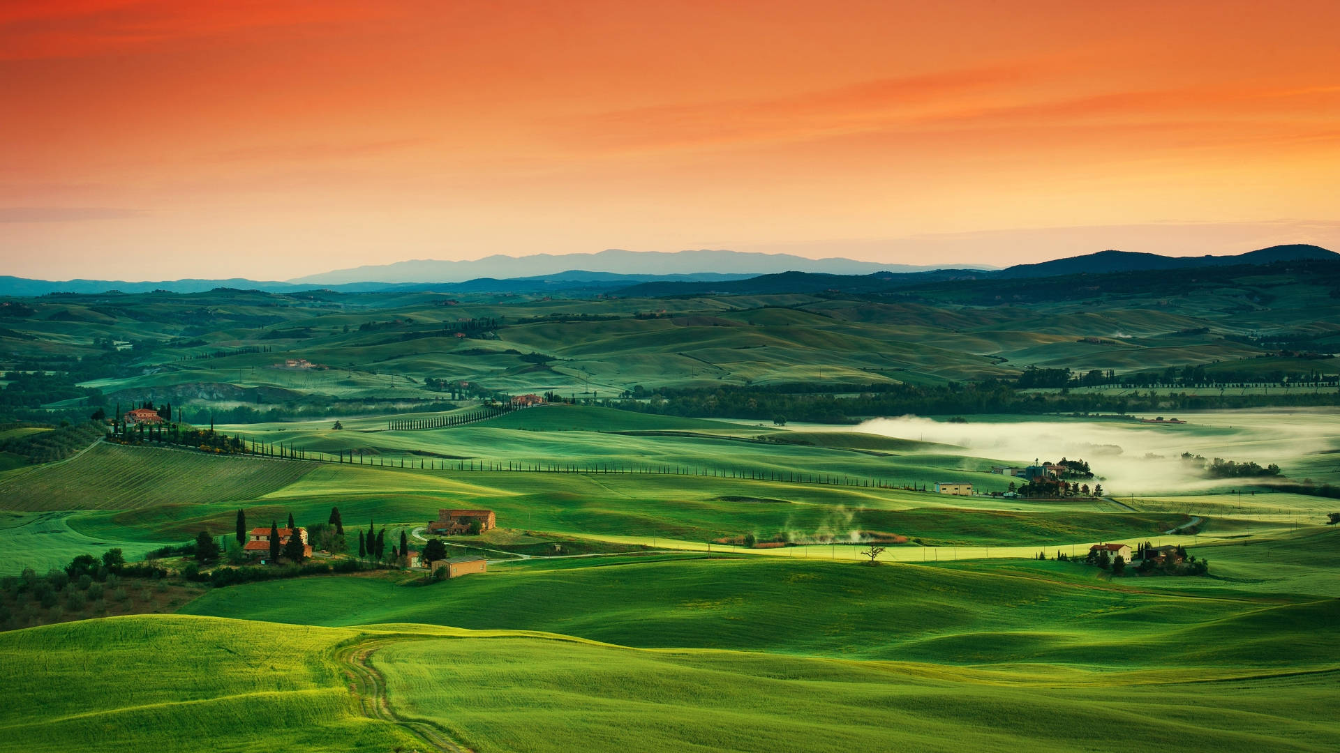Hình nền Tuscany Fields mang đến cho bạn cảm giác như đang đứng giữa những cánh đồng hoa tuylip tươi sáng vậy. Với màu sắc đẹp mắt, hình nền sẽ khiến bạn cảm thấy thư giãn và ngắm nhìn nó lâu dài. Nếu thích những hình ảnh thiên nhiên thì hình nền Tuscany Fields chắc chắn là sự lựa chọn hoàn hảo cho bạn.