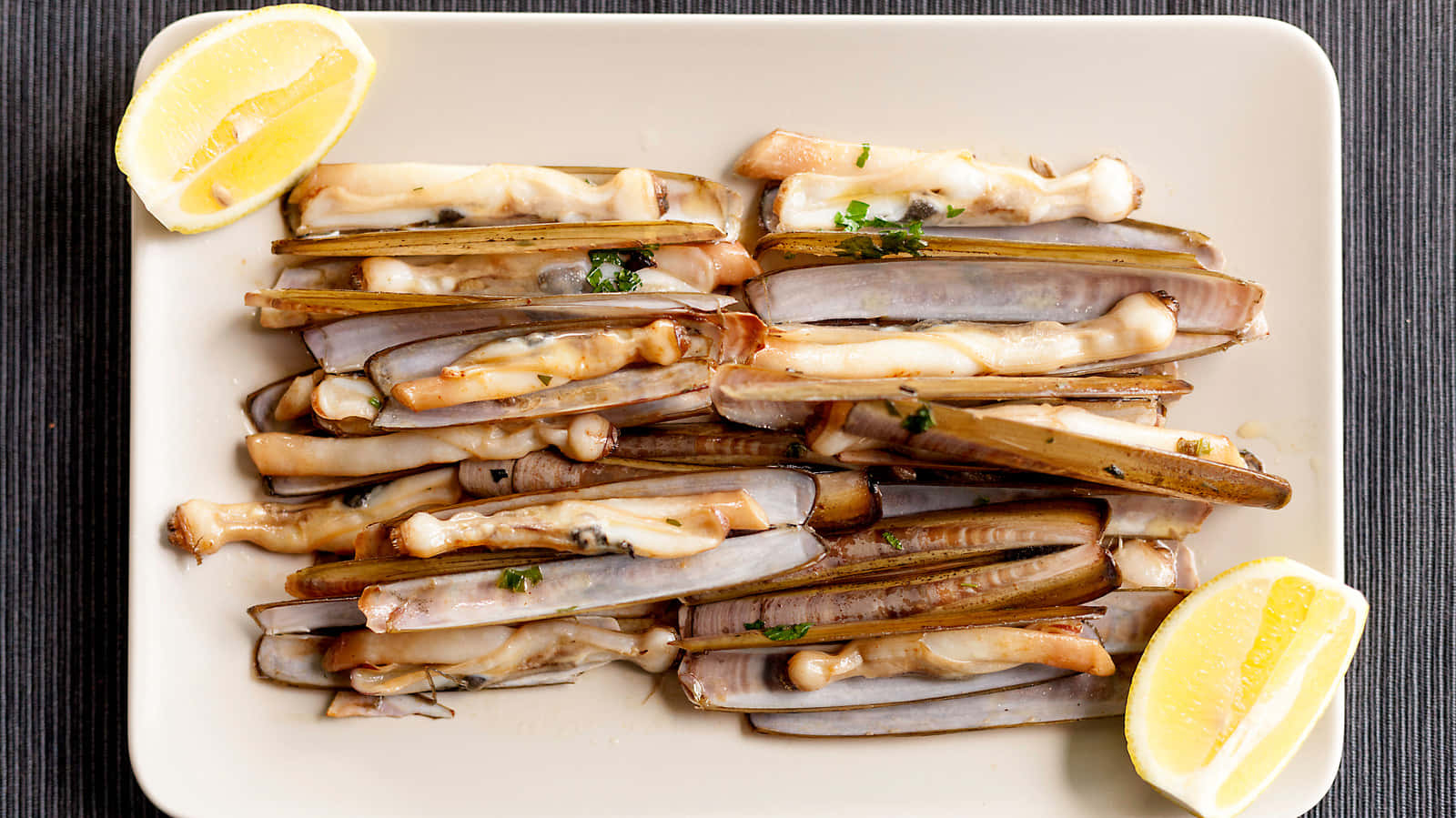 A Beautiful Razor Clam On The Atlantic Shore Wallpaper