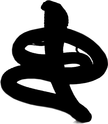 Cobra Silhouette Graphic PNG — A minimalist black silhouette of a coiled snake with subtle white outlines against a pure white background.