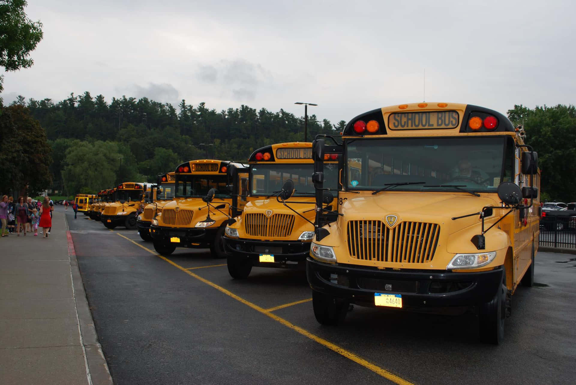 A Bright Yellow School Bus Parked And Ready For Service Wallpaper