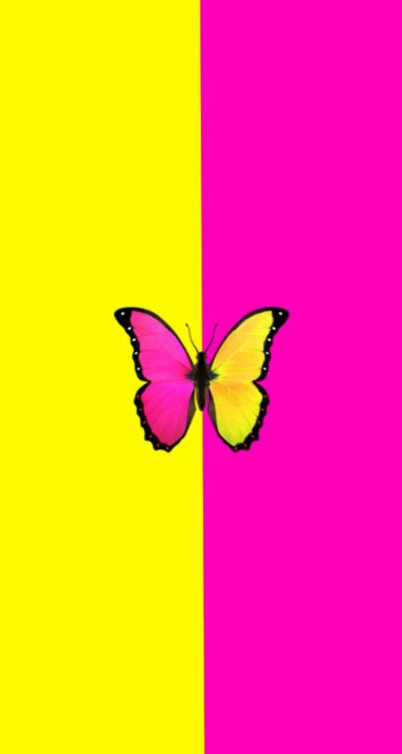 A Butterfly In Split Colors Wallpaper