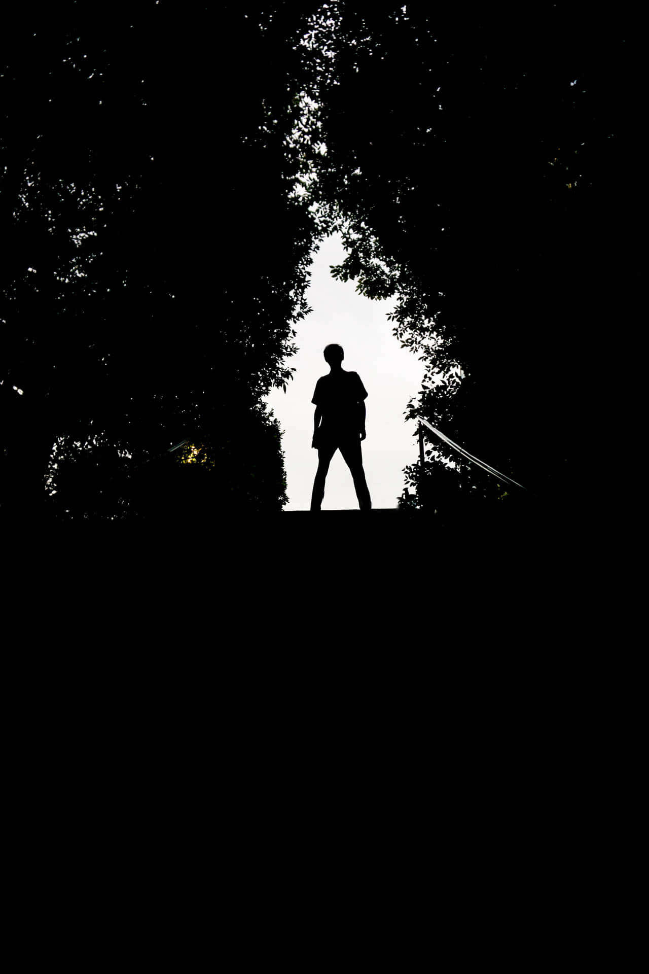 A Captivating Image Illustrating The Stark Contrast Between Darkness And Light, Featuring A Silhouette Standing Amidst The Shadowy Backdrop