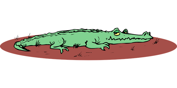 A Cartoon Of A Crocodile PNG