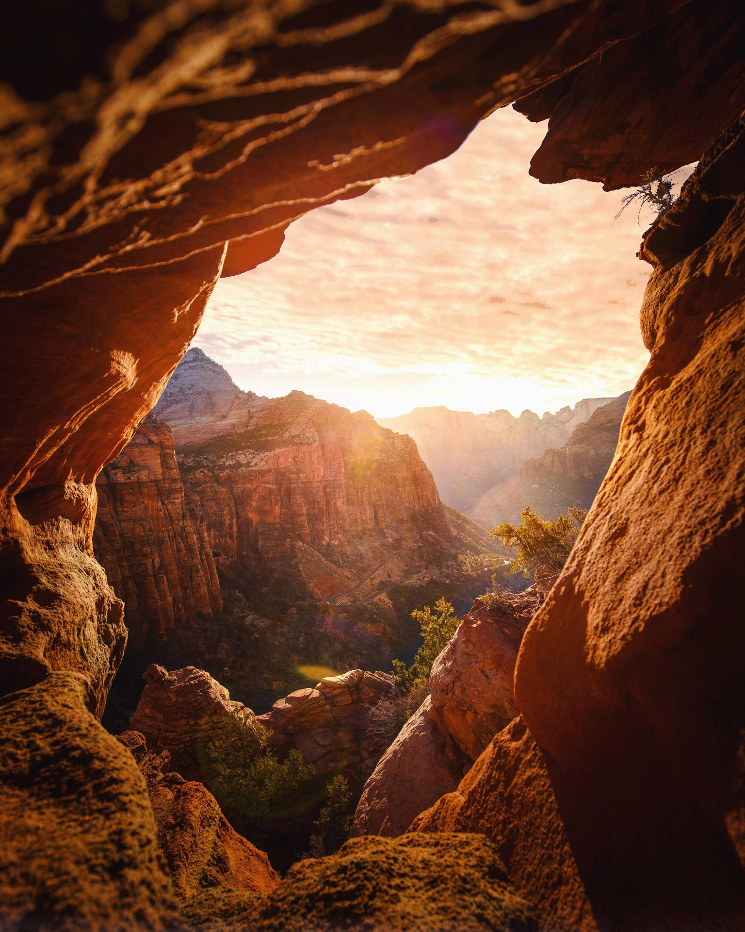 A Cave In Zion National Park Wallpaper