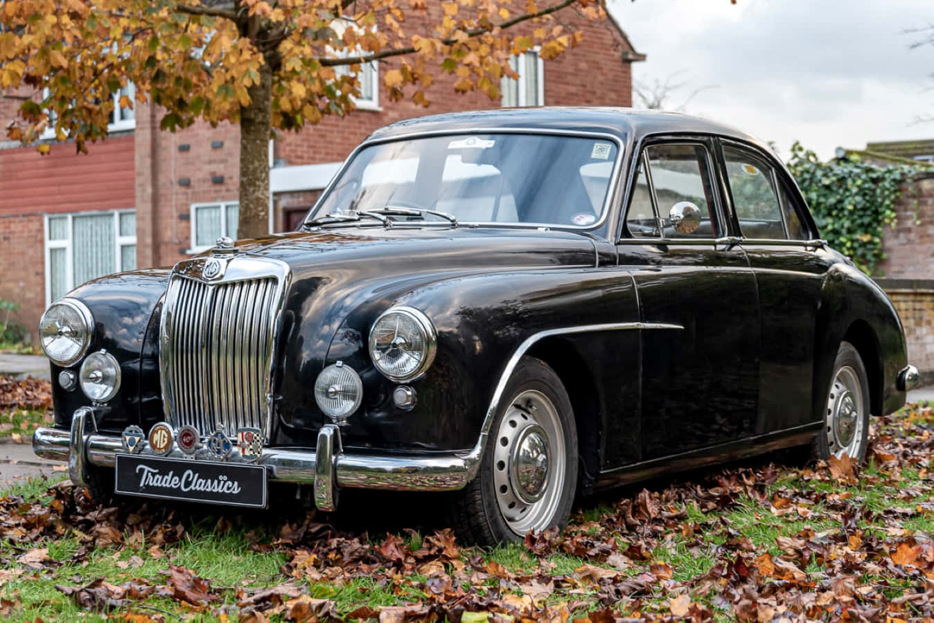 A Classic Drive - Mg Magnette Vintage Car Wallpaper