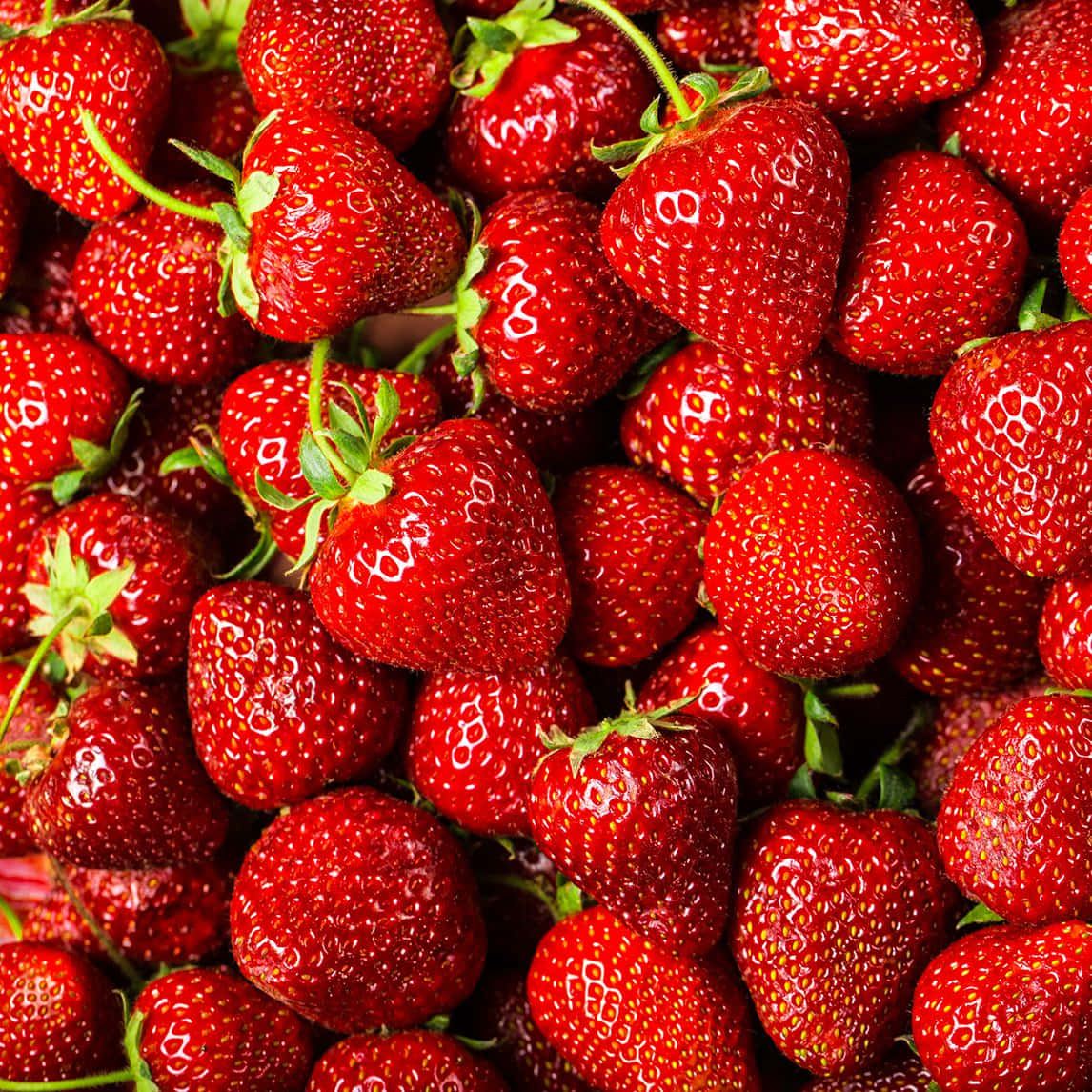 A Close-up View Of Freshly Harvested Strawberries
