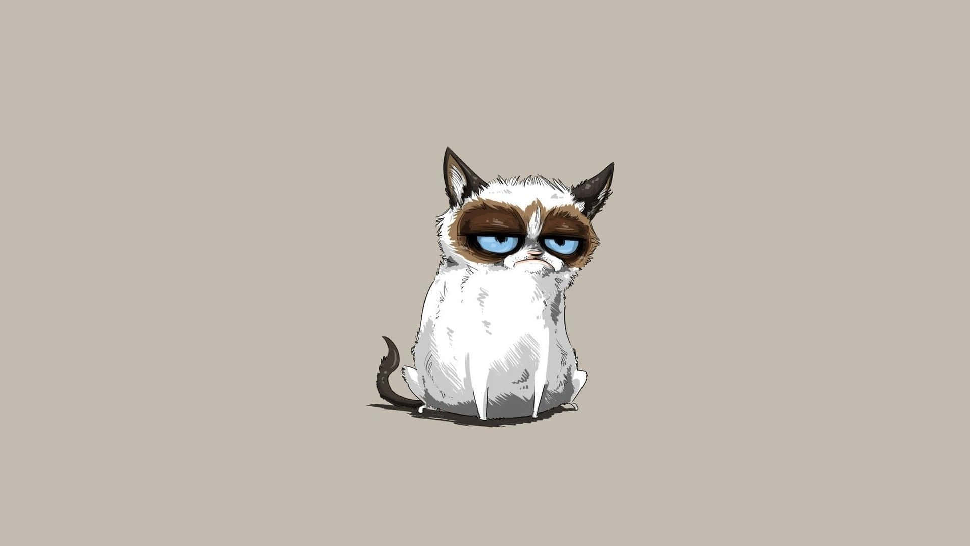A Curious Cat Glaring: Grumpy In All Its Glory Wallpaper
