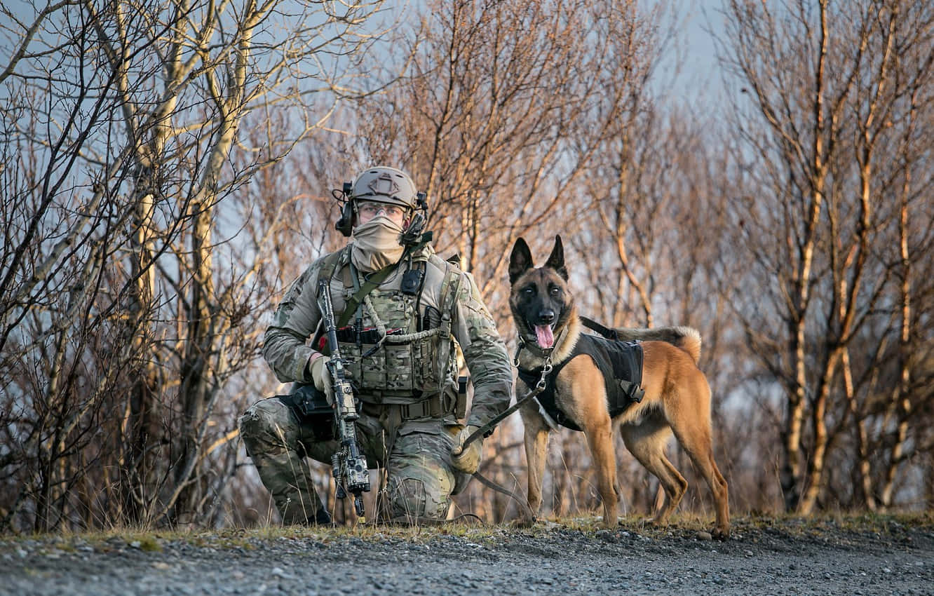 A Dedicated Army Dog At Service Wallpaper