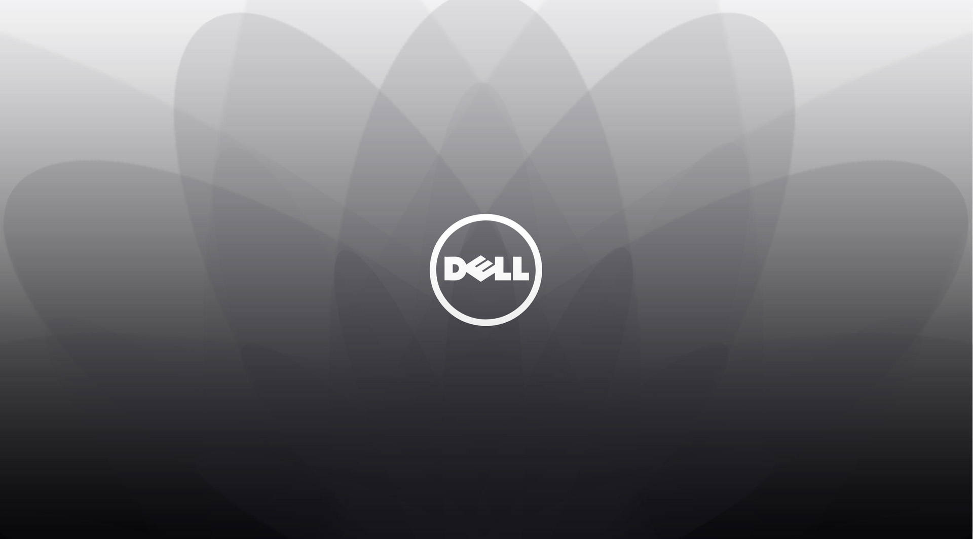 En Dell HD-logo med grå og hvid design. Wallpaper