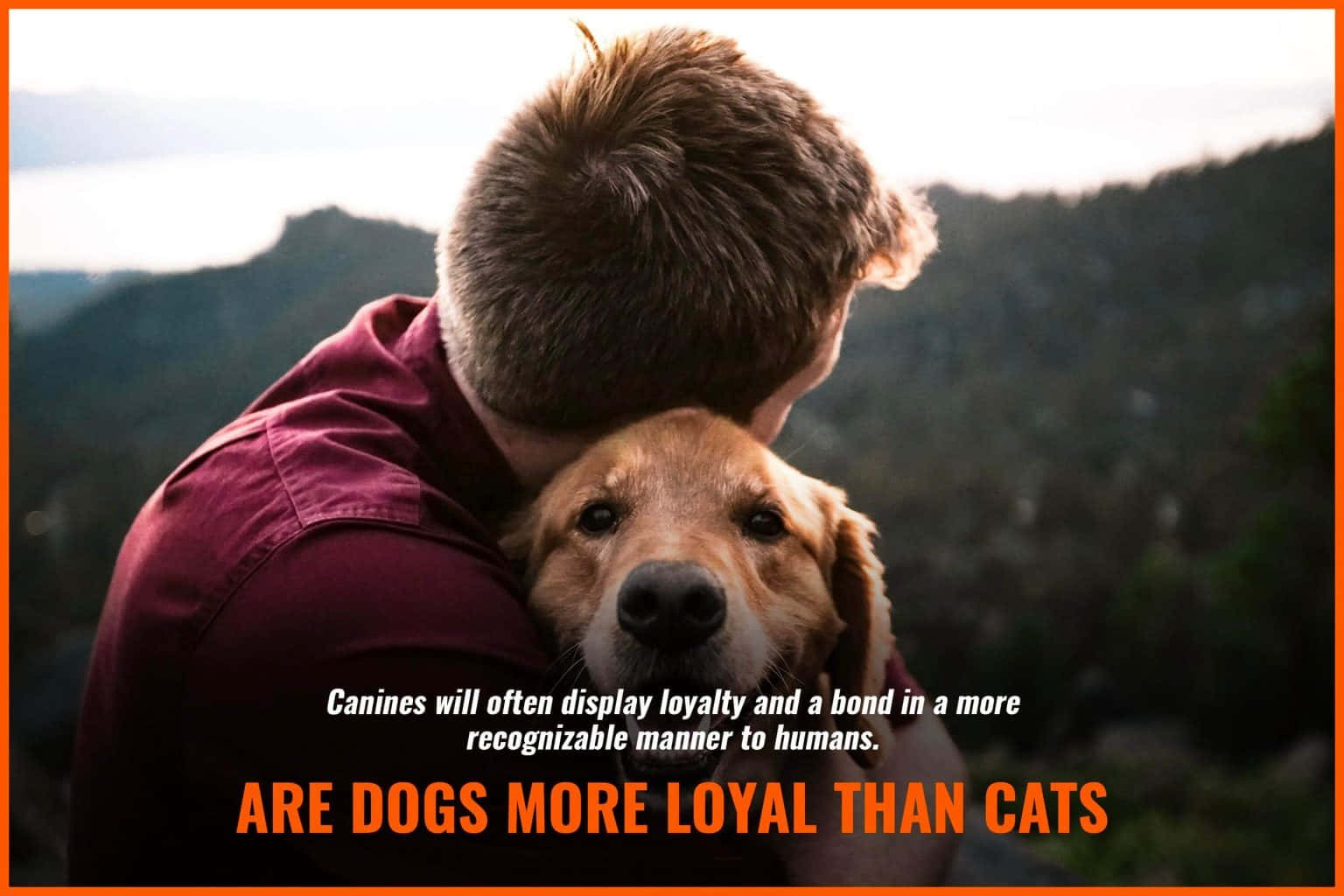 Dogs are more sales loyal than humans