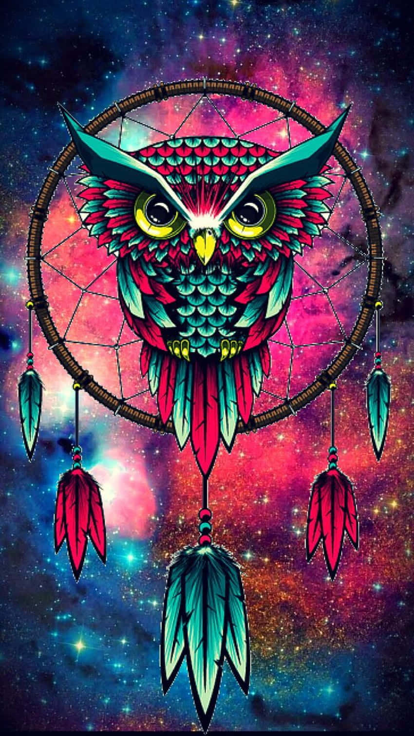 A Distinct Owl In A Dreamcatcher Wallpaper