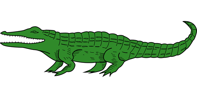 A Green Alligator On A Black Background PNG