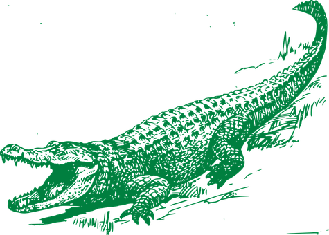 A Green Alligator On A Black Background PNG