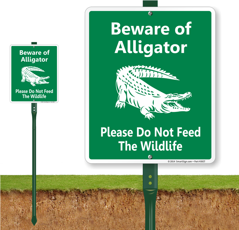 A Green Sign With White Text And A Crocodile On It PNG