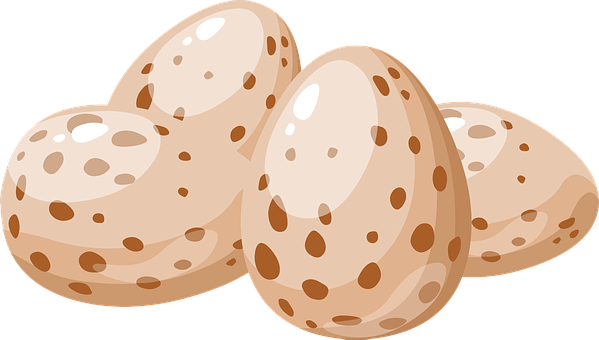 A Group Of Eggs With Brown Spots PNG