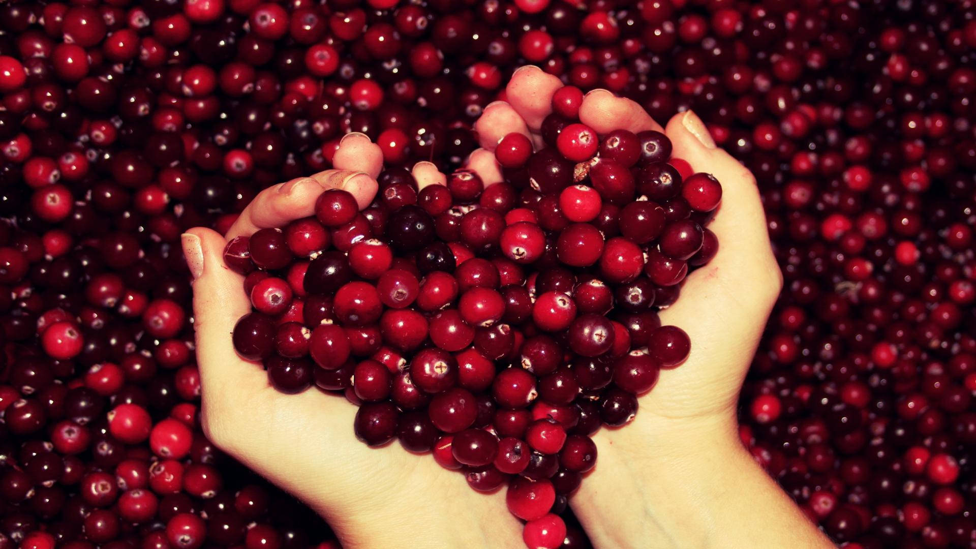 A Heart Handful Of Cranberries Wallpaper