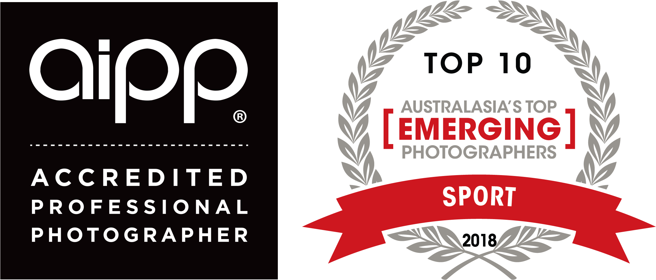 A I P P Accredited Professional Photographer Top10 Emerging2018 PNG