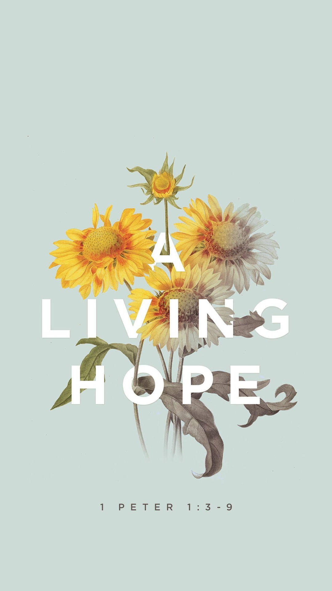 A Living Hope Jesus Quotes Wallpaper