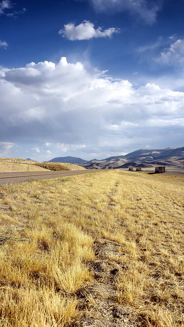 A Long Road With Cheatgrass In Idaho Wallpaper