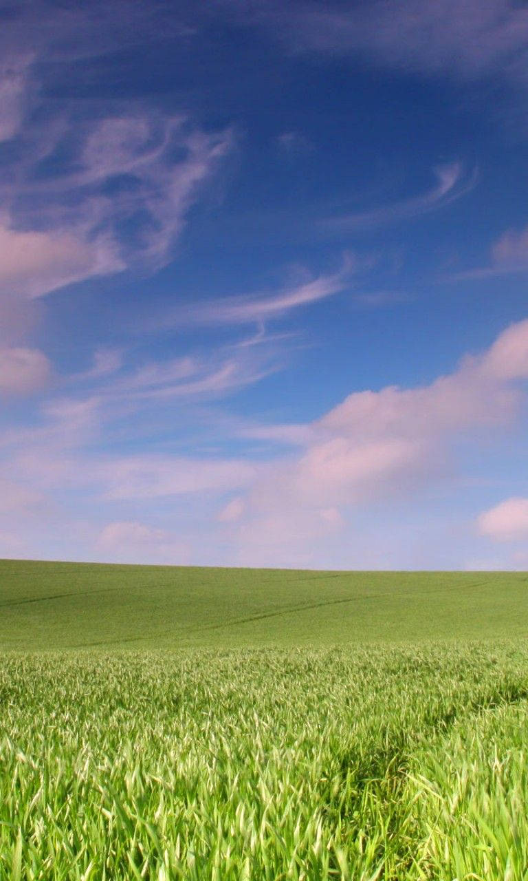 A Lush, Open Green Field Under A Clear Blue Sky Wallpaper