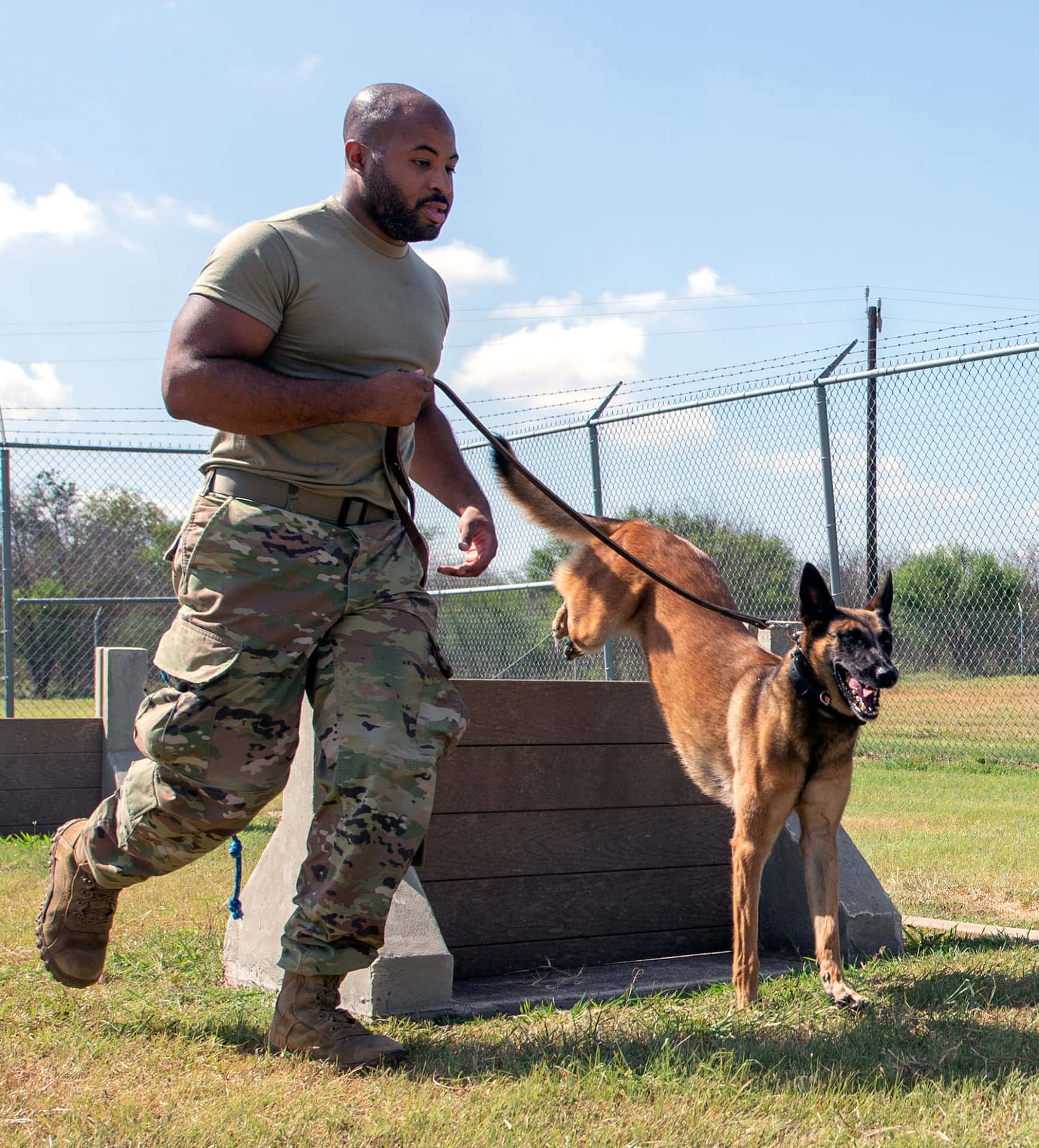A Military Dog Displaying Agility And Skill Wallpaper