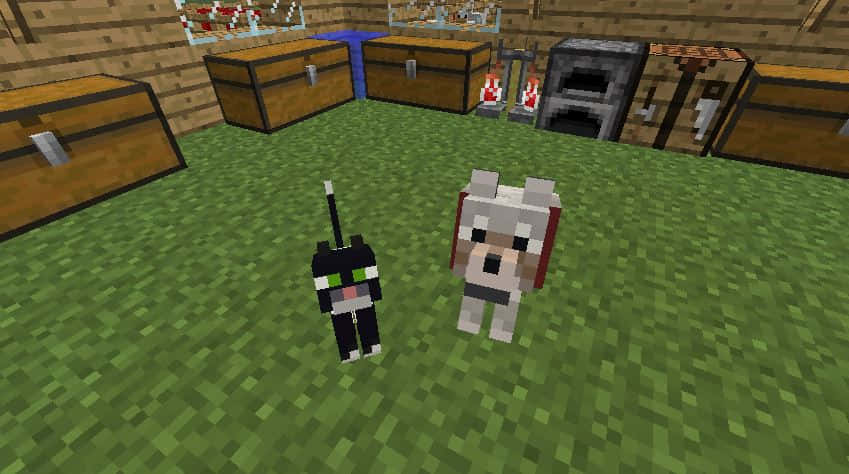 A Minecraft Player's Adventure With His Favourite Pets Wallpaper
