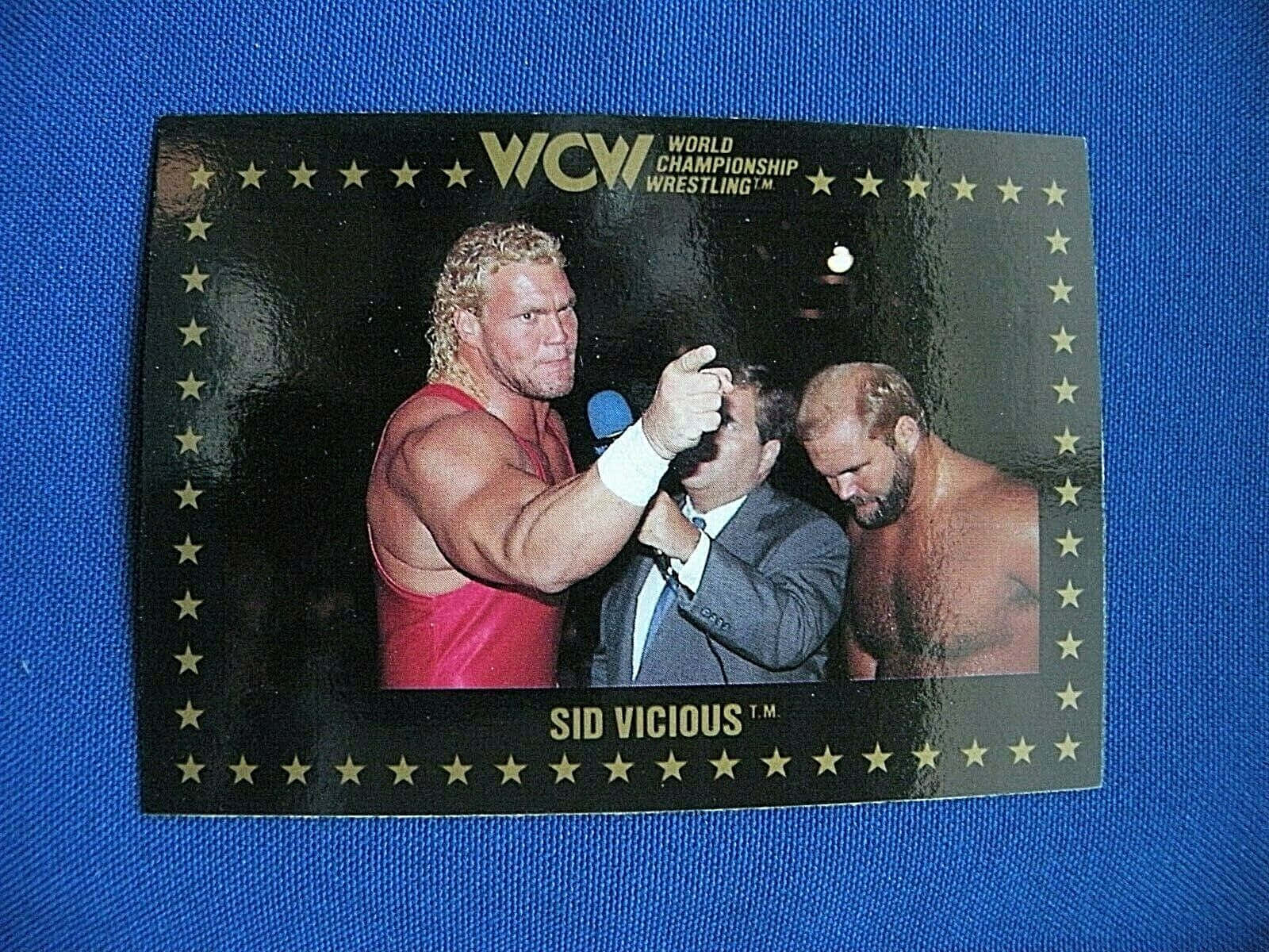 Einfoto Von Wcw Wrestler Sid Vicious, Wie Er Zeigt. Wallpaper