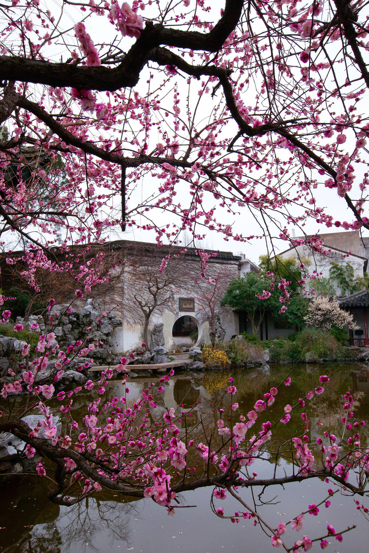 A Picturesque View Of The Serene Waters And Traditional Architecture In Suzhou, China Wallpaper