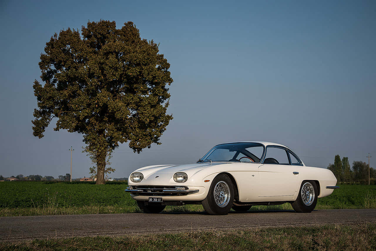 A Pristine Example Of Automative Perfection - Lamborghini 350 Gt Wallpaper