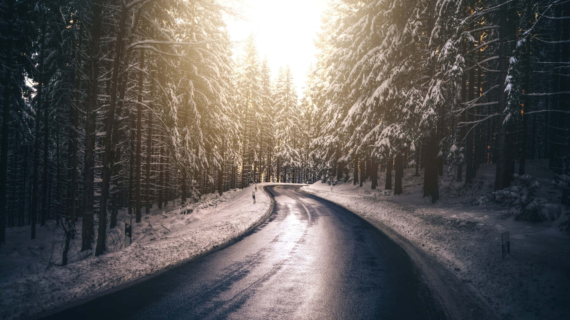 A Serene Winter's Journey Wallpaper