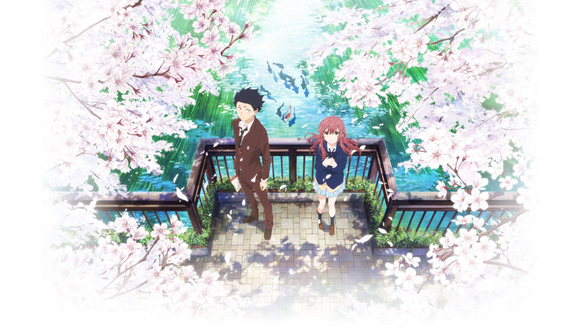 A Silent Voice Couple Cherry Blossoms Background