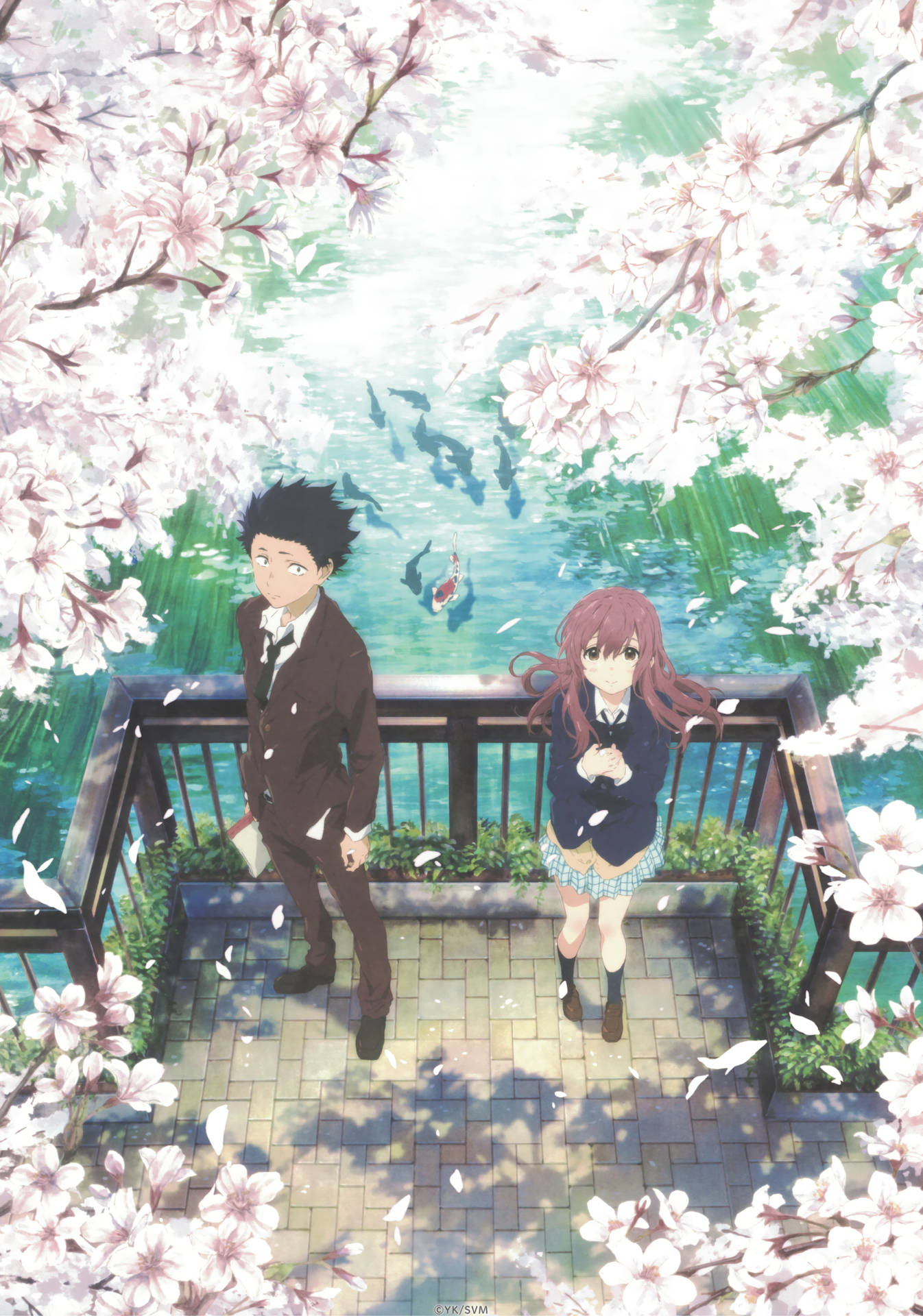 A Silent Voice Couple Sakura Pond Wallpaper