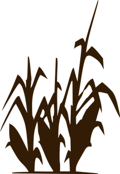 A Silhouette Of A Plant PNG