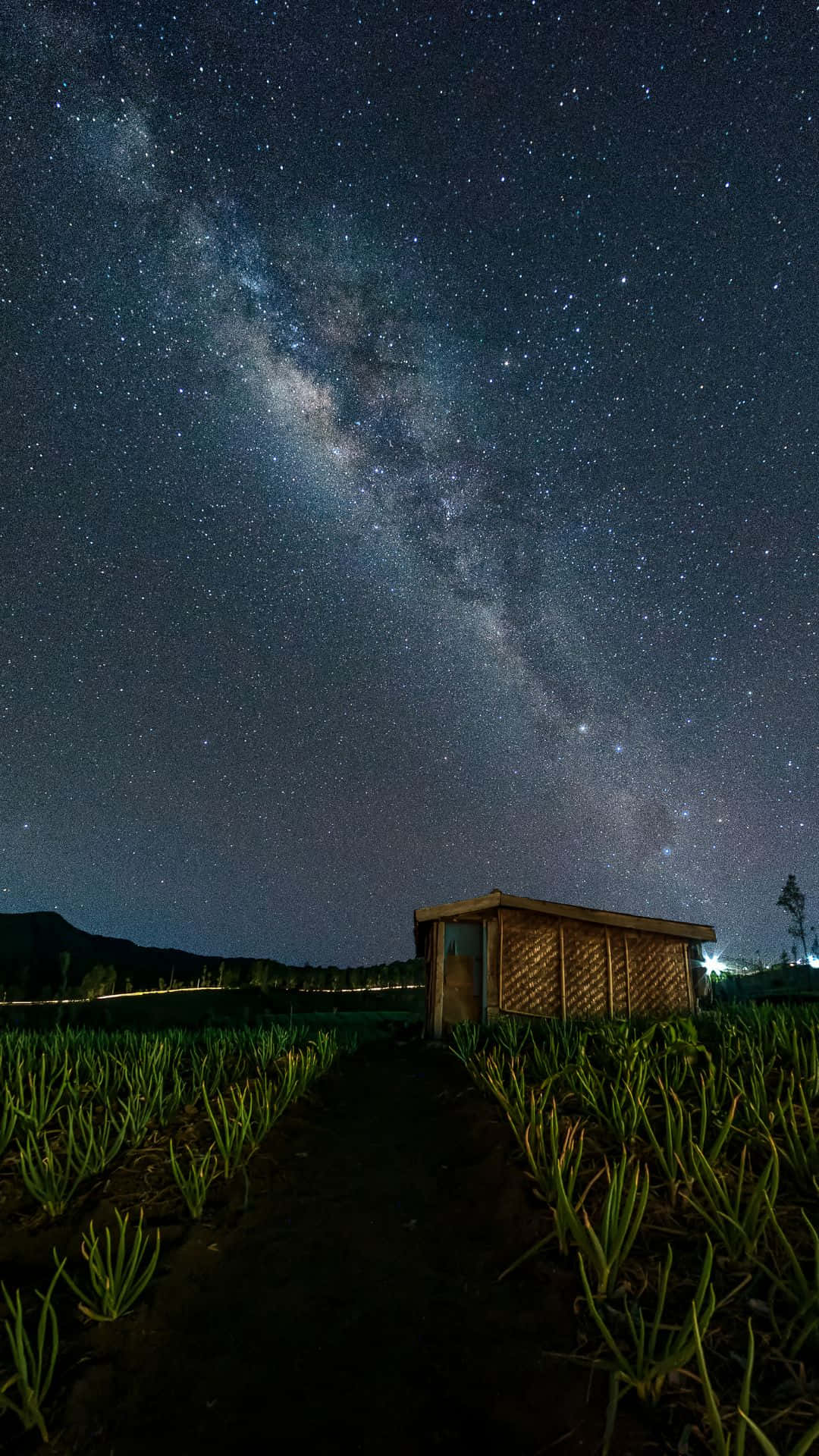 "a Spectacular View Of The Starry Night Sky"