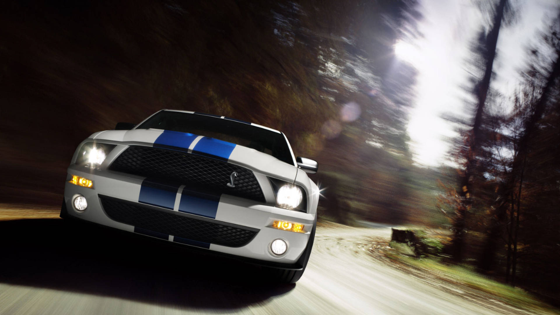 Speeding Ford Mustang in High Definition. Wallpaper